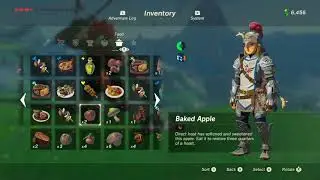 Legend of Zelda: Breath of the Wild - Longplay 10min Timelapse [20400% Faster]