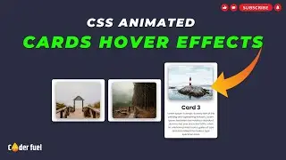 CSS Animated Responsive Cards Hover Effects | Html & CSS Only