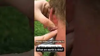 What on earth is this