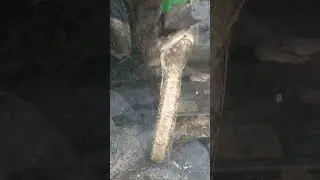 #phyton