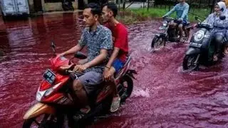 Blood rain in Indonesia