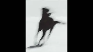 plantcham // experimental type beat - 