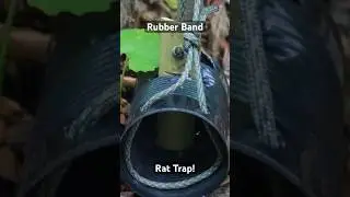 Rubber Band Rat Trap! 