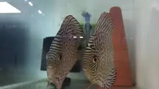 ÜRETİMHANEM DE İŞ BİTMİYOR MAŞALLAH :)