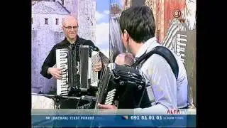 Slavuj ptica mala cut