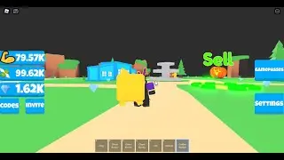 New Pet Lifting Simulator!! | Roblox Pet Lifting Simulator #1