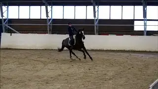 Veera & Ulla 15.12.'19 80 cm