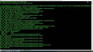 Nodes // Ноды в Jenkins