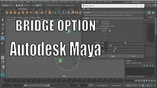 Maya | bridge | beginner | CGIZONE |