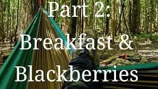 Overnighter Part 2: Bushcraft Breakfast, Blackberrying & Jam Making
