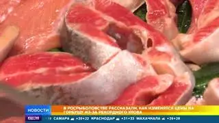 Александр Савельев: На Камчатке рекордный улов, но дешевле рыба не станет