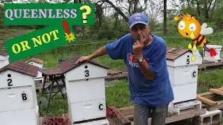 Hive Inspection What To Look For ( May 2020 )