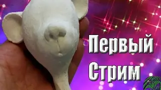 #1 Первый стрим.