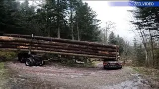 La glace ça glisse ❄❄🌲🪵🪓🏗 Combien ca coûte un grumier ? 💰 Nouvelle vidéo : ALV TRANSPORTS 🚚🪵🌲