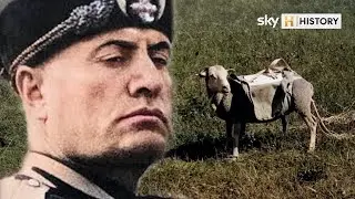 Did Mussolini push sheep out of planes? | What On Earth?