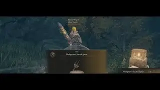 Elden ring co-op randomizer ma solo le parti divertenti
