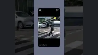 Crosswalk in Japanese Vs The world 🤣 