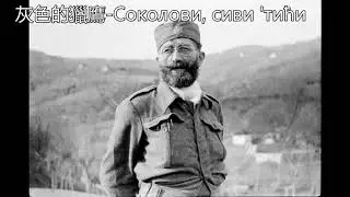 灰色的獵鷹 Соколови, сиви 'тићи