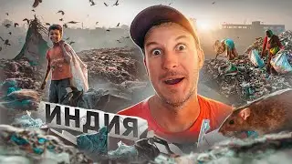 ИНДИЯ! ГРЯЗЬ, ВОНЬ И ПОМОЙКА В ДЕЛИ!