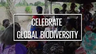 International Day for Biodiversity 2024 Trailer