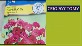 Сею эустому.