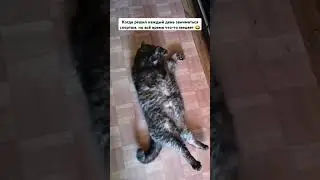 Когда решил заниматься спортом... 