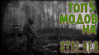 Топ 5 лучших модов на Stalker за всю историю