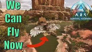 Tamed an Argy - ASA S2E7