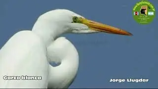 DIA MUNDIAL DE LA VIDA SILVESTRE