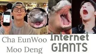 Cha EunWoo and Moo Deng: Cutie Patootie Internet Giants!