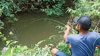 MANCING DI MUSIM HUJAN TIDAK TERDUGA IKAN NYA PADA KELAPARAN MAS BRO