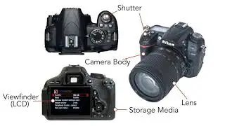 The anatomy of a camera