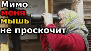 ОЧЕНЬ БДИТЕЛЬНАЯ СОСЕДКА И НЕУЛОВИМЫЙ ЛЕХА