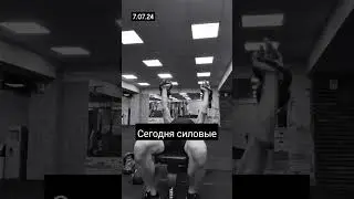 сегодня силовые