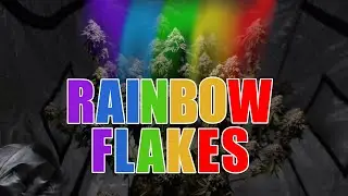 129 Tage in 12min | Rainbow Flakes | Seed to Harvest