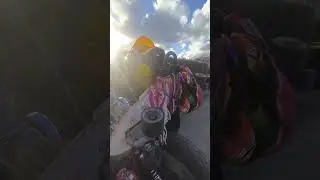 Venice Harley