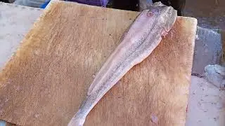 ١١ مارس ٢٠٢٣