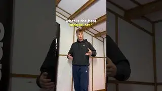Martial ART vs martial ARTIST