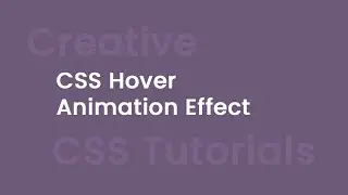 CSS Creative Hover & Animation Effect | csPoint Website Designing tutorials