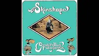 Skinshape feat. Andy Platts - The Longest Shadow