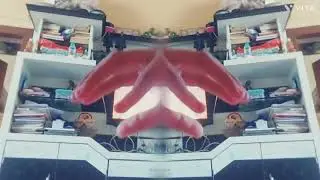 floating hand spider eats you | s###post