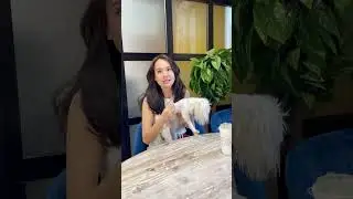 Когда спросили как дела у собаки 😂😂😂