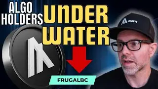 This is how many Algorand holders are underwater | Algorand news