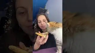 Съешь ролл 