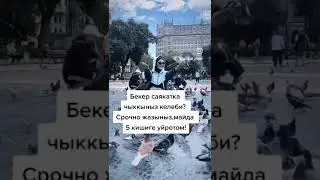 САЯКАТКА КОП АКЧА КЕТИРИШТИН КЕРЕКГИ ЖОК!