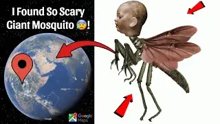 I Found So Scary Giant Mosquito On Google Earth and Google Maps 😰!