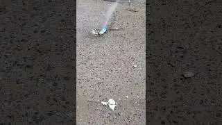 I wanna shoot it