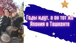 Немного о японском в Ташкенте, балдею от этого места #ташкент #узбекистан