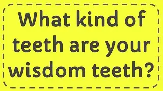 What kind of teeth are your wisdom teeth?