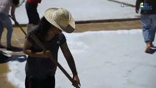 Experiência no sal - Salt Experience